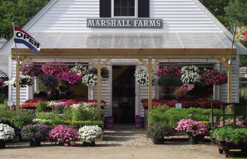 Concord & Carlisle is brimming with Fantastic Farms & Farmstands